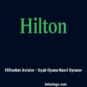 Hiltonbet Aviator - Uçak Oyunu Nasıl Oynanır