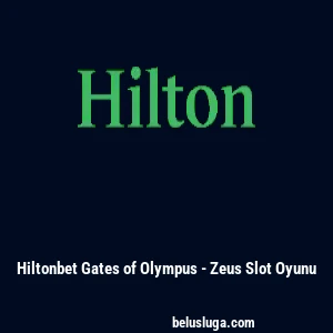 Hiltonbet Gates of Olympus - Zeus Slot Oyunu
