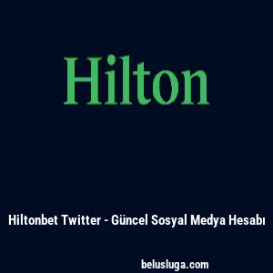 Hiltonbet Twitter - G&uuml;ncel Sosyal Medya Hesabı